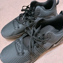 NIKE REBRON の画像