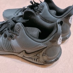 NIKE REBRON の画像