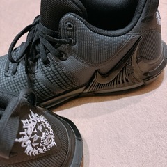 NIKE REBRON の画像