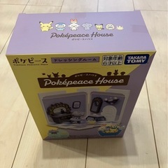 ポケモン　ポケピースハウス　　　　の画像