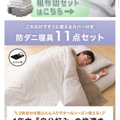 ニトリ 寝具11点セット ダブル(S2306 D)の画像