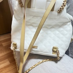 レディバッグの画像