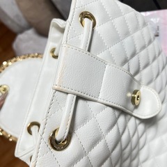 レディバッグの画像