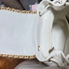 レディバッグの画像