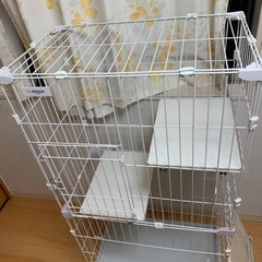 猫ゲージ　ほぼ未使用　使ってくださいの画像