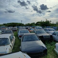 M.ベンツ126-レストア-リビルト-リサイクル-業界一番を目指して躍進SE-SEL-SECの画像