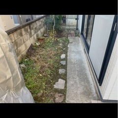 有料で木など抜根持って行って欲しいです。の画像