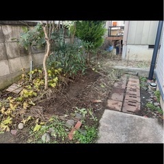 有料で木など抜根持って行って欲しいです。の画像