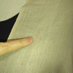 ストール　ベージュ　LANVINの画像