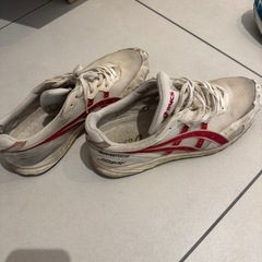 アシックス　スカイセンサージャパン　ＴＪＲ013　28ｃｍの画像