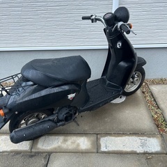 早期取引希望　トゥデイ　ホンダ　AF61の画像