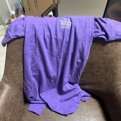 スキンタイツスーツ　ロンパース犬用の画像