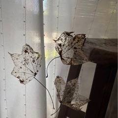 アンティークアート木製フレーム　　の画像