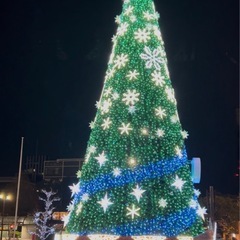 2025年１２月２４日（水）