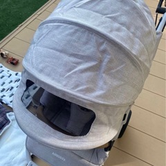 エアバギーの画像