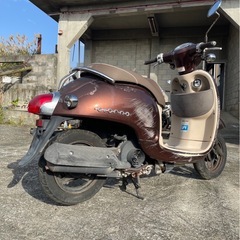 ジョルノ の画像