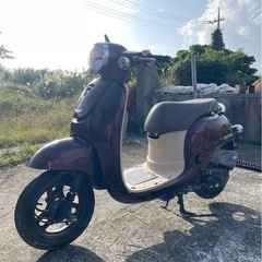 ジョルノ の画像