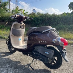 ジョルノ の画像