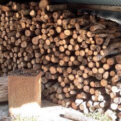 クヌギの薪売りますの画像