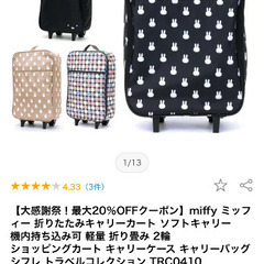 ミッフィー　ソフトキャリーケースの画像