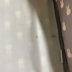 ミッフィー　ソフトキャリーケースの画像