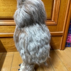 羊毛フェルト　フクロウ　ハンドメイドの画像