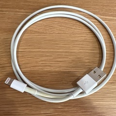 Apple 純正　コンセントおまけ付の画像