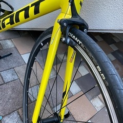 【美品】 GIANT CONTEND 2 ロードバイク イエロー サイズM コンテンド flat guard 700×28C 120psi S-R3 ジャイアント の画像