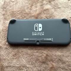 Switchライト　グレーの画像