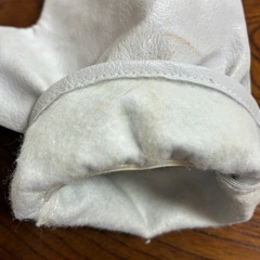 犬•猫用抜け毛取りグローブの画像