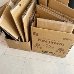 無印良品体にフィットするソファの画像