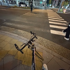 クロスバイク　　panther pro  zesu 3.0 の画像