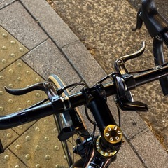 クロスバイク　　panther pro  zesu 3.0 の画像