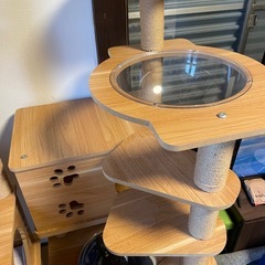キャットタワーの画像