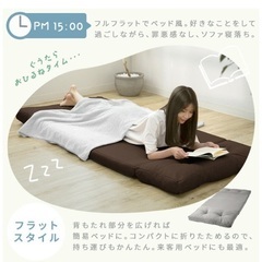 ソファベッド (ほぼ未使用)の画像