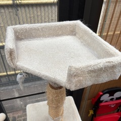 キャットタワーの画像