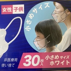 マスク1枚10円　個包装　女性　子供用の画像
