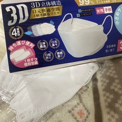 マスク1枚10円　個包装　女性　子供用の画像