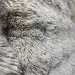 SNSで超話題のふわふわ毛布の画像