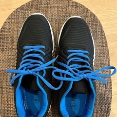 軽量スニーカー25㎝の画像