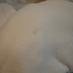 ユニースリープ　バンブーカバー袋説明書付きの画像