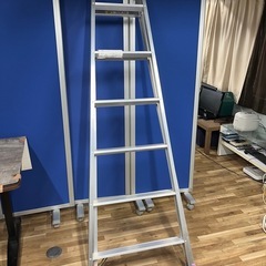 【美品】ALINCO アルインコ はしご兼用脚立　脚立高さ2m はしご長さ4.22m  最大使用重量100kgの画像