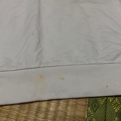 ロキシートレーナーの画像