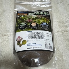 年末処分セール⑩ テラリウムセットの画像