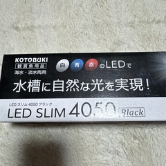 年末処分セール⑩ テラリウムセットの画像