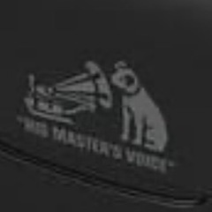 Victorイヤホンの画像