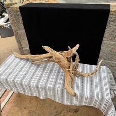 天然流木　アクアリウム、爬虫類の画像