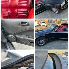 フォード　マスタング　人気　黒　群馬県　H22 車検無しの画像