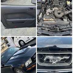 フォード　マスタング　人気　黒　群馬県　H22 車検無しの画像