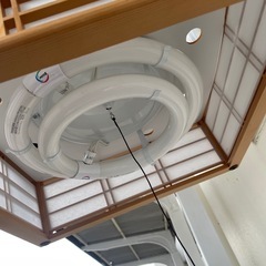 照明　ライト　蛍光灯　　無料の画像